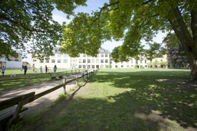 Rygaards School seen from the park
